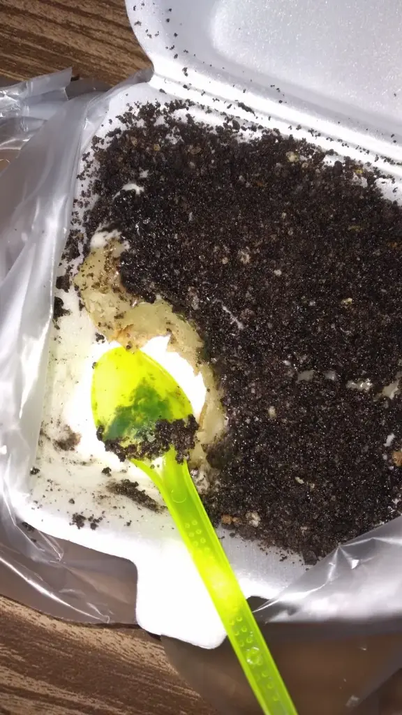 R2. Kue Pancong Milo Susu 1 Loyang